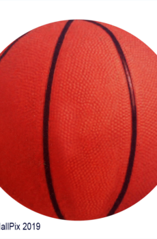 Pelota Basketball